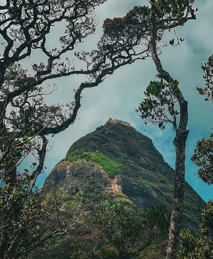 Adam's Peak